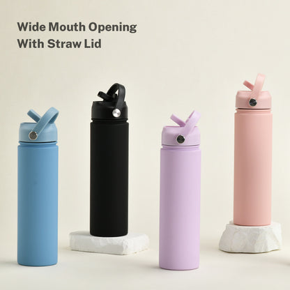 Insulated Stainless Steel Water Bottle with Straw Lid