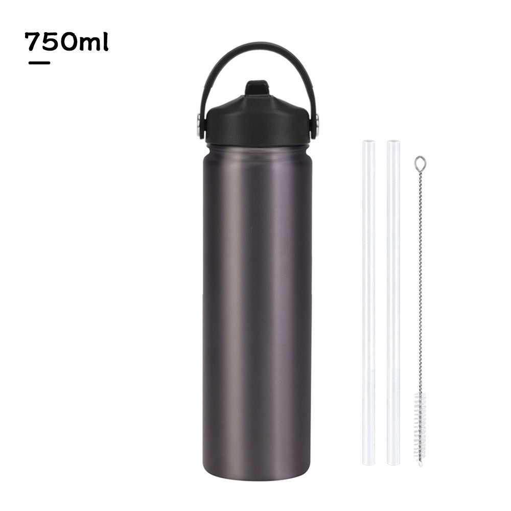 Insulated Stainless Steel Water Bottle with Straw Lid