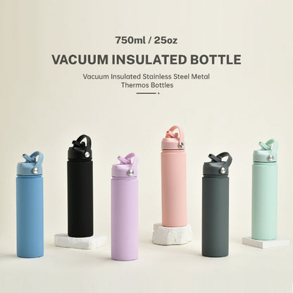 Insulated Stainless Steel Water Bottle with Straw Lid